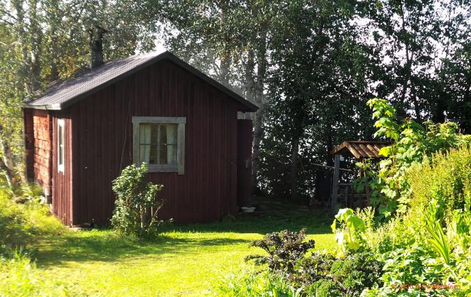 Savusauna lämpenee kesäkuisena lauantaina.