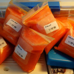 Kylmäpuristettua pihlajanmarjatuoremehua. Pakastetaan minipusseissa.