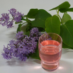 Raikasta syreeninkukkajuomaa. Ohje löytyy valikosta kohdasta Reseptit.